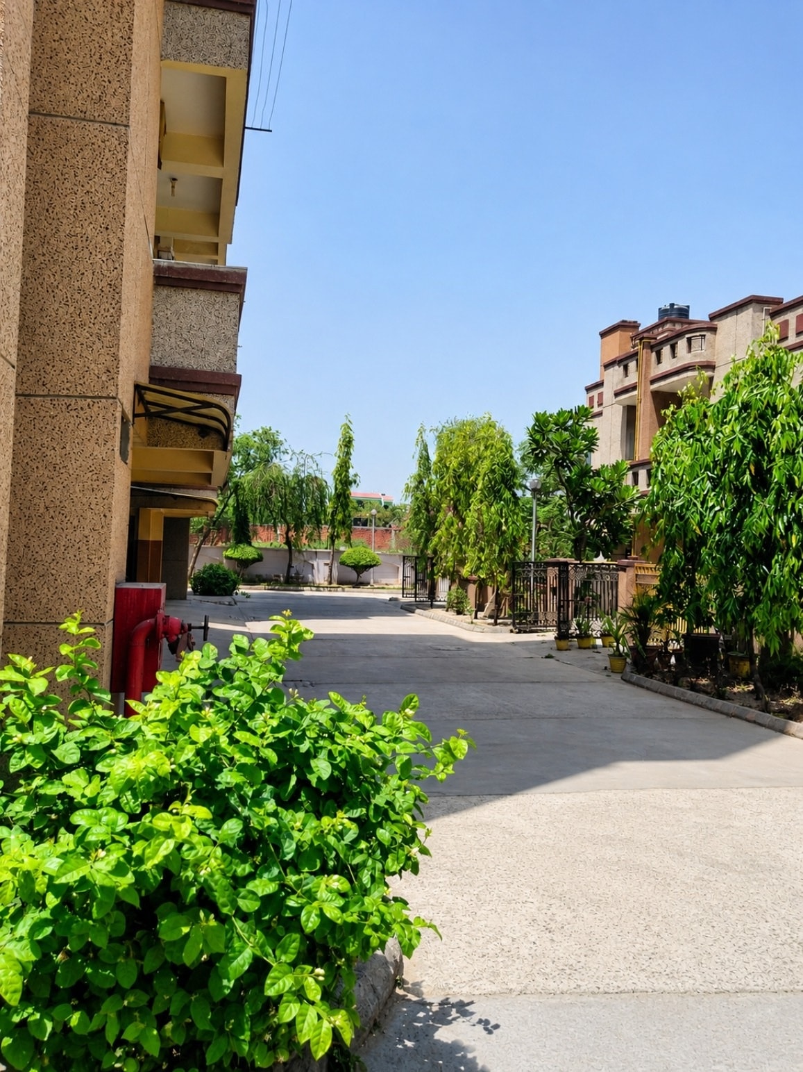 KW Engineers Park tree-lined internal driveway