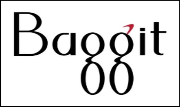 ../resize_image.php?image=upload/071222100241Baggit.jpg&new_width=600&new_height=1
